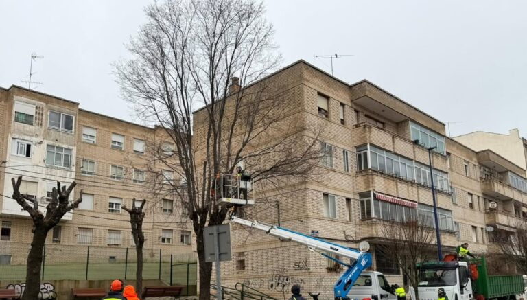 Cuenca inicia la campaña de poda tras el retraso provocado por las borrascas del invierno