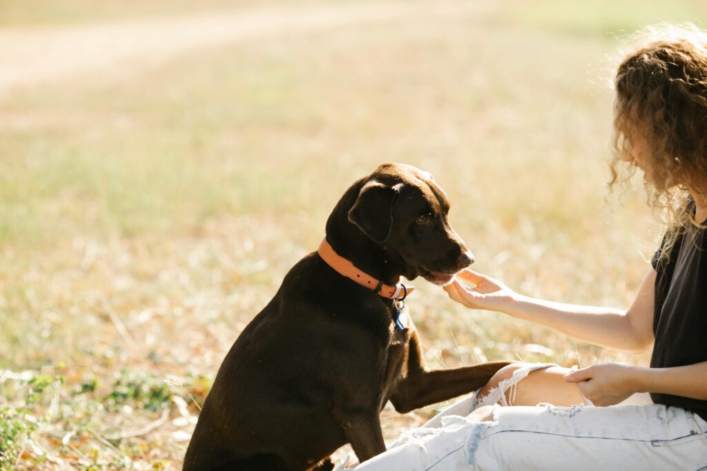 Photo by Blue Bird: https://www.pexels.com/photo/portrait-of-a-woman-and-her-labrador-dog-outdoors-7210495/