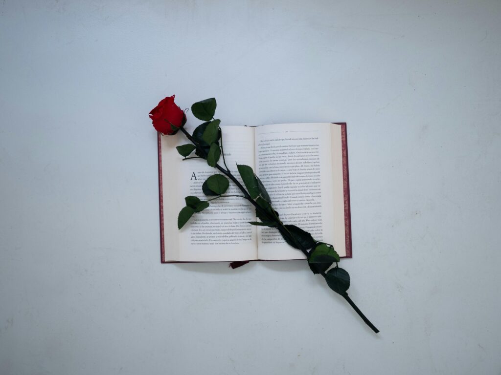 Rosa encima de un libro